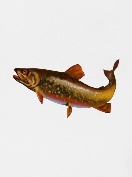Fisch
