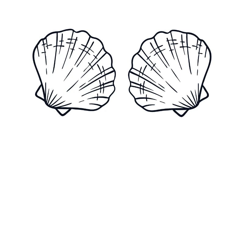Seashell Bra BH Shell Shelling Bag Seashell