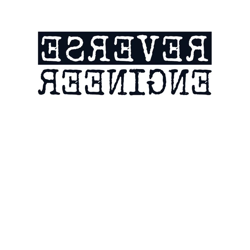 Reverse Engineer Software Engineer Developer