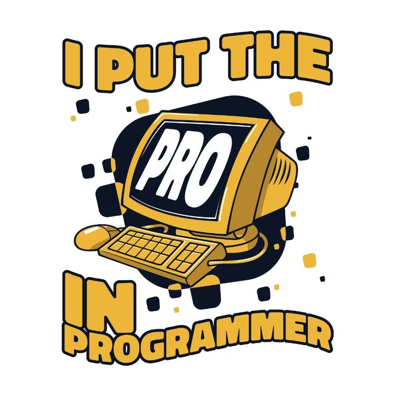 J’ai mis le pro dans Programmeur Developer Coder