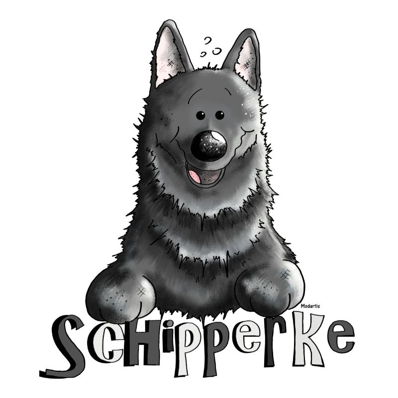 Pfiffiger Schipperke - Hund