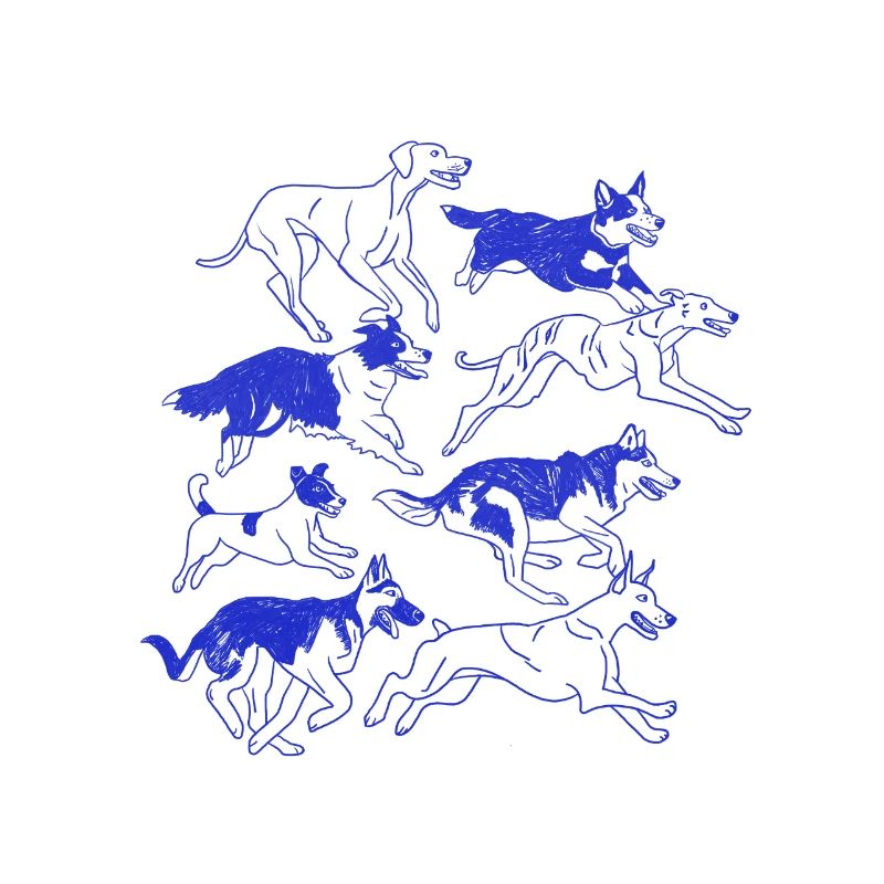 Pack Silhouette Dynamique de Chien