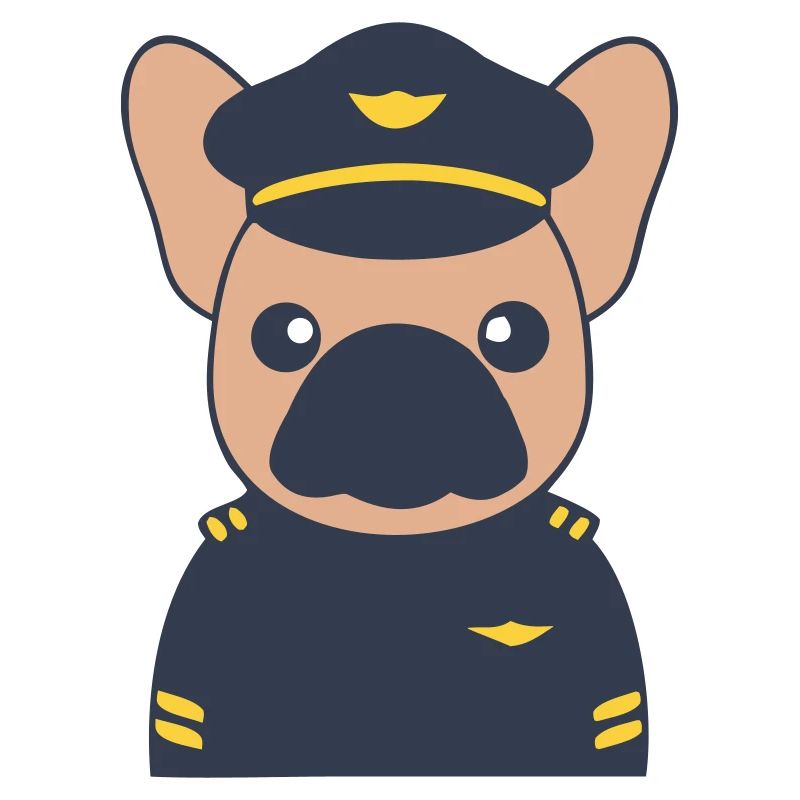 Uniforme de commandant pilote français