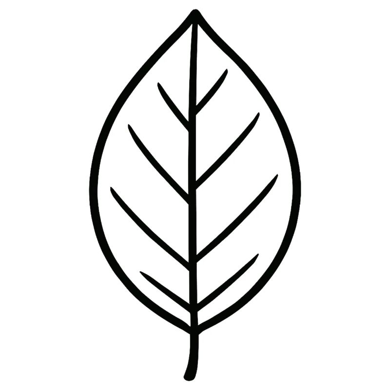 Conception minimaliste Leaf