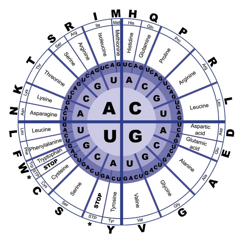 Genetic Code - T-Shirt