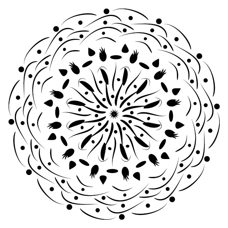 Rotating Flower in Black Pattern Gift Idea