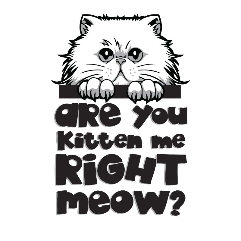 Cadeau chat chat face griffe course chat