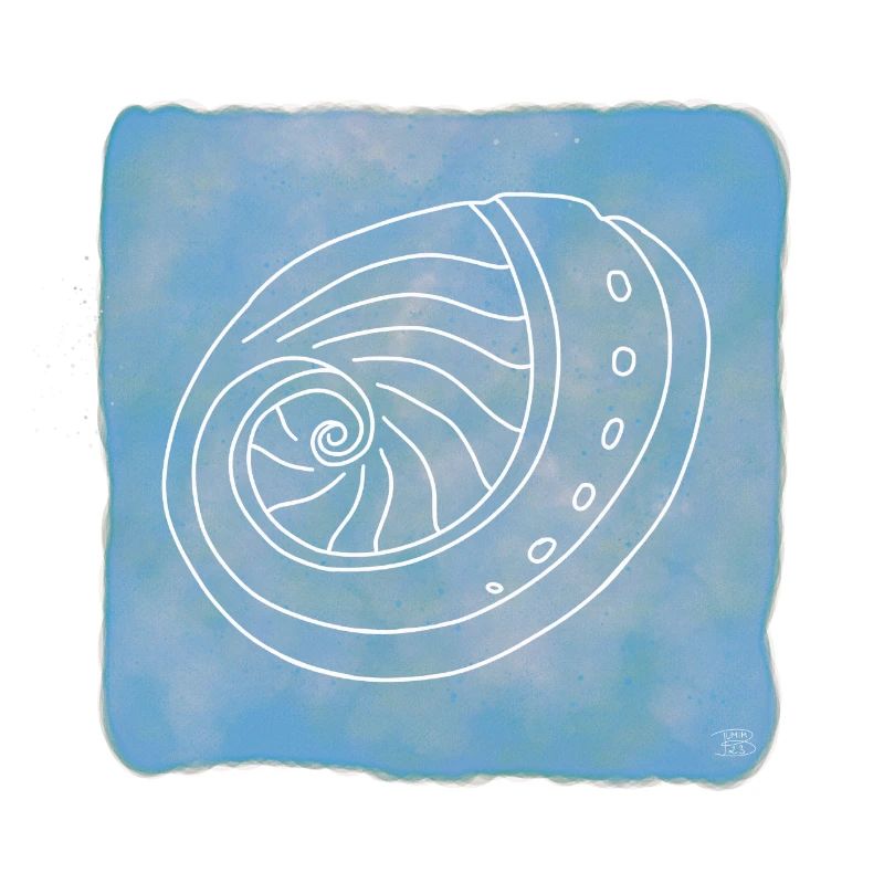 Abalone, Boho Line Art Design, Serie Shells