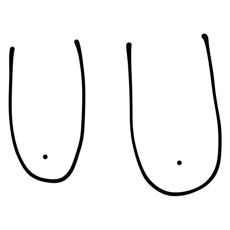 boobs