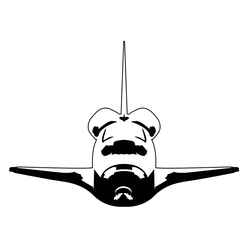 Space Shuttle
