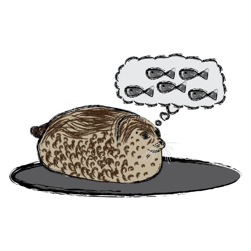 Thick Seal / Chubby Seal