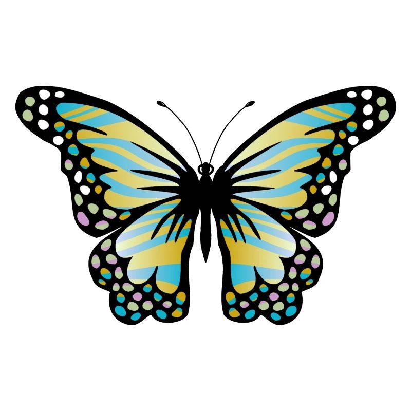 Papillon