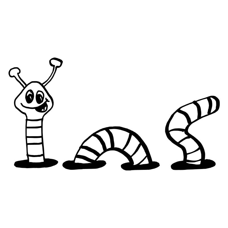 lombrics