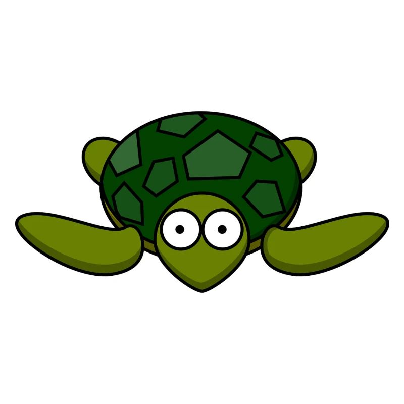 Sweet turtle