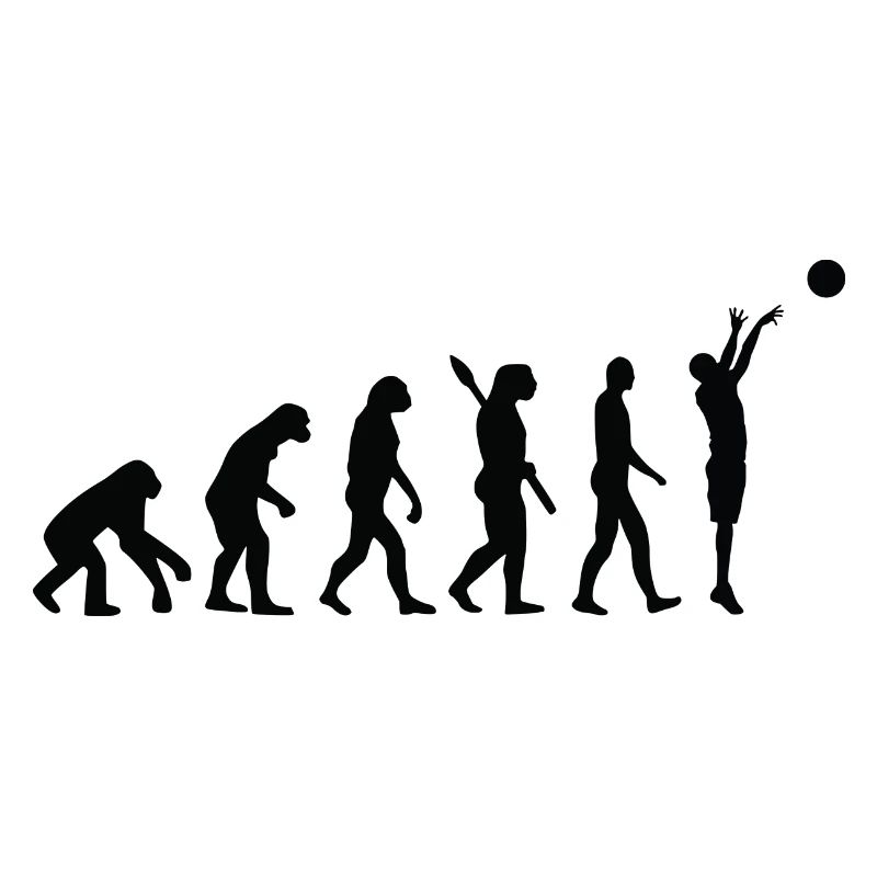 Evolution basket b