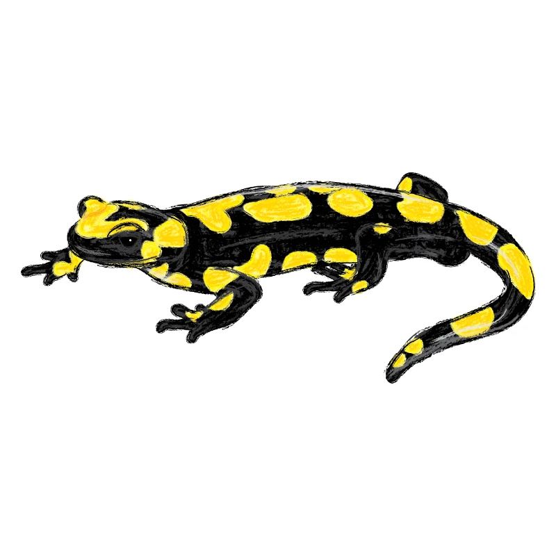 Feuersalamander / Fire Salamander I