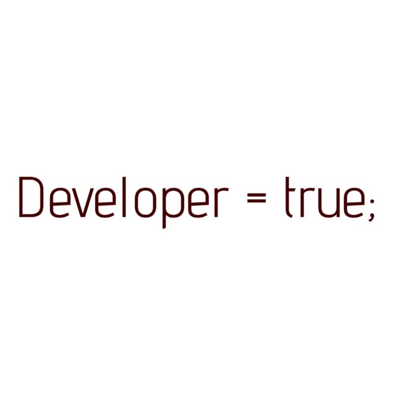 Software Entwickler Developer Geschenk Idee Coder