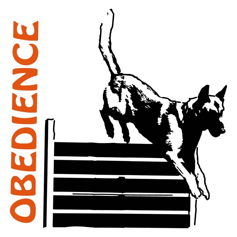 Obedience hurdle jump with Malinois