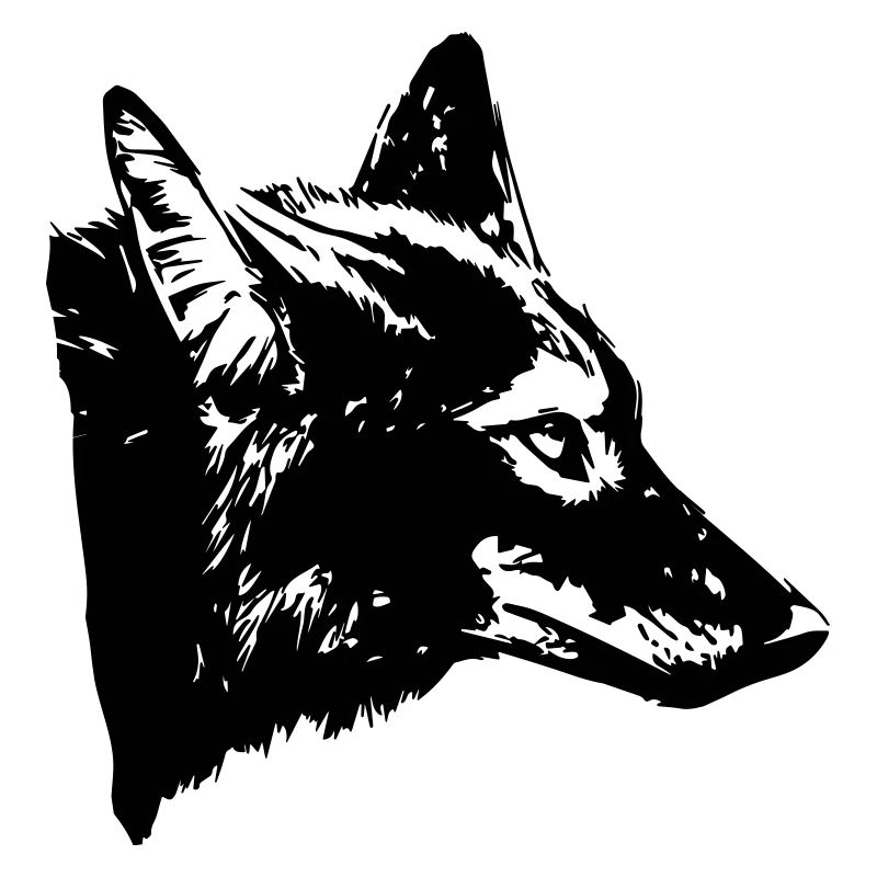 coyote