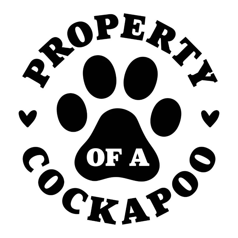 Eigentum eines Cockapoo