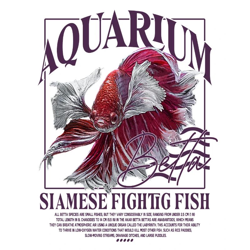 Betta Betta Fighting Fish