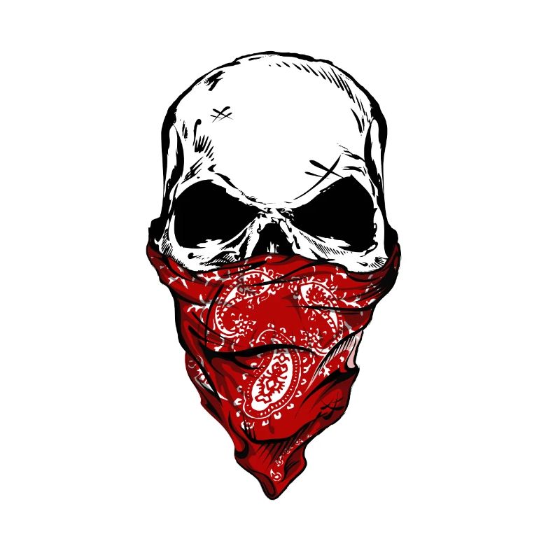 Bandit Skull