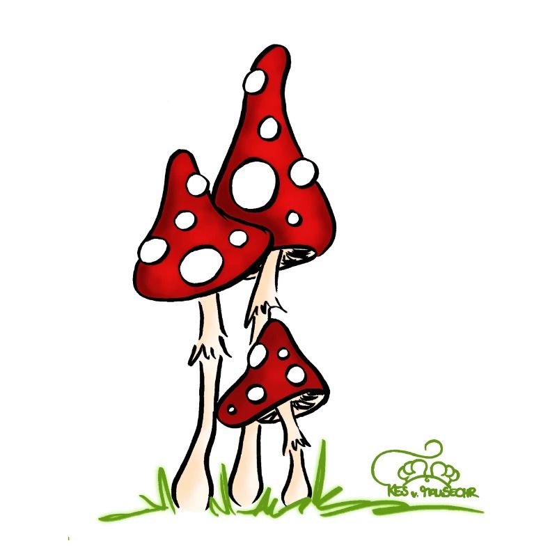 Muchotravky - Toadstools