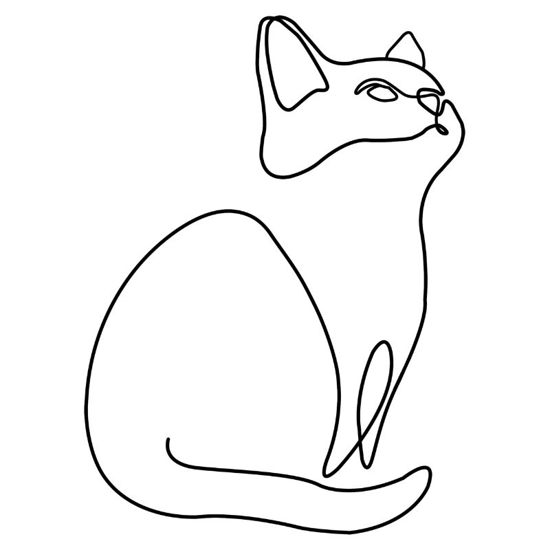 Chaton Chat Chat