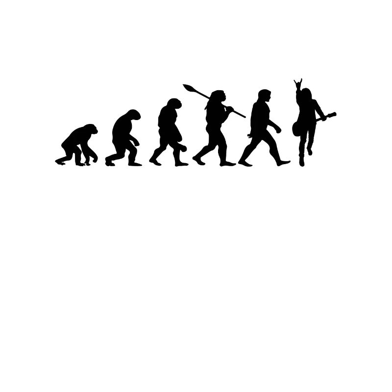Rock'n'Roll Evolution for Musicians