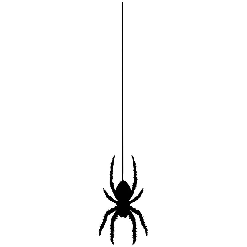 Spinne