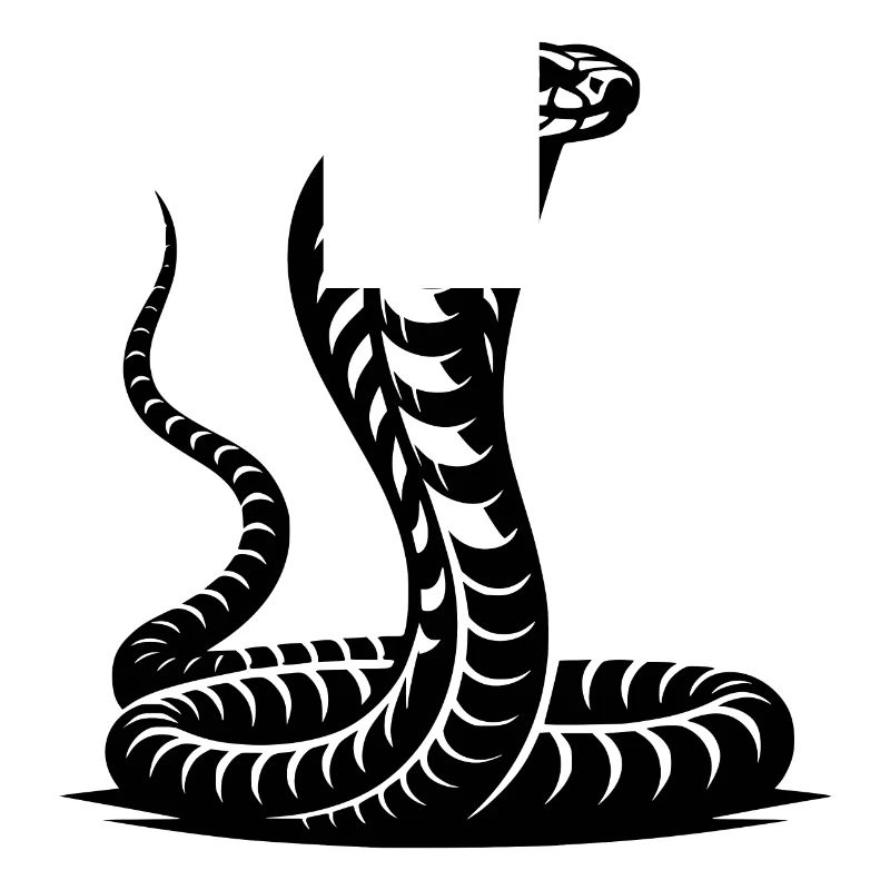 Serpent Cobra Cou Bouclier Menaçant Conception Posture