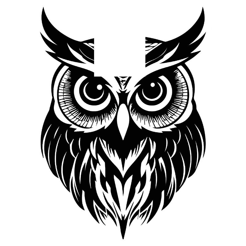 Eule Eulen Vogel Vögel