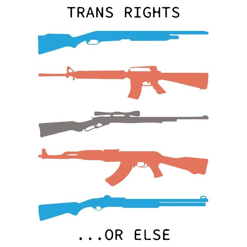 TRANS RIGHTS OR ELSE meaning trend