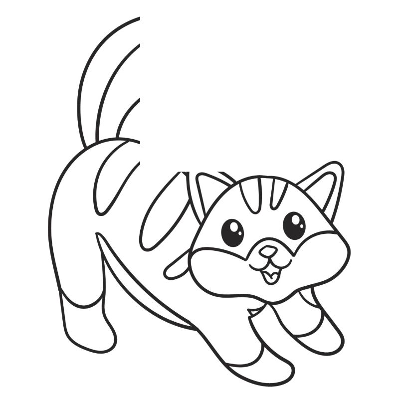 Katze, Kätzchen, süß, Geschenk, Geschenkidee