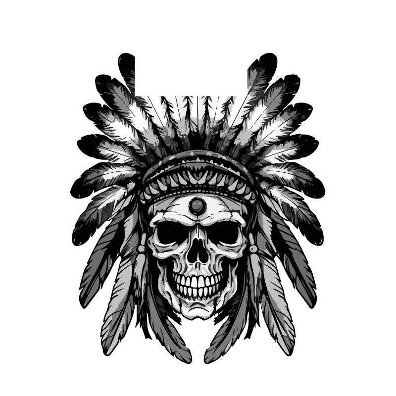 Apache Indian Skull