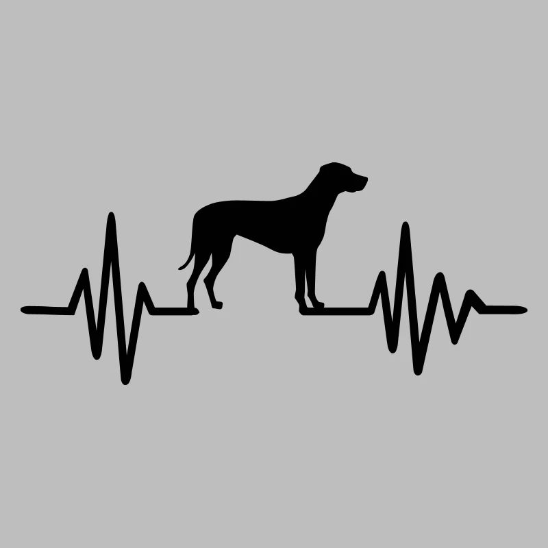 Rhodesian Ridgeback