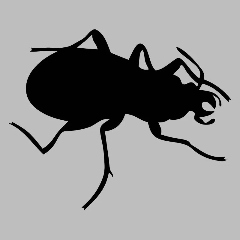 Bug