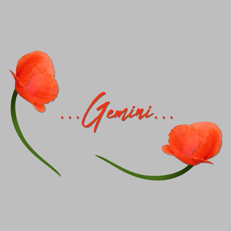Zwillinge Mohn Klatschmohn Sternzeichen Zwillinge
