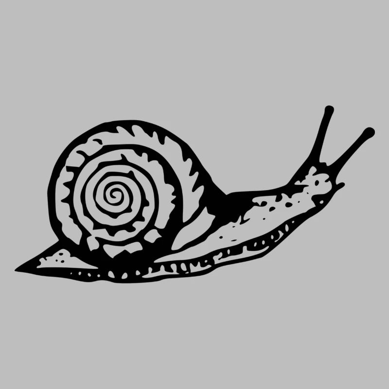 Snail noir et withe