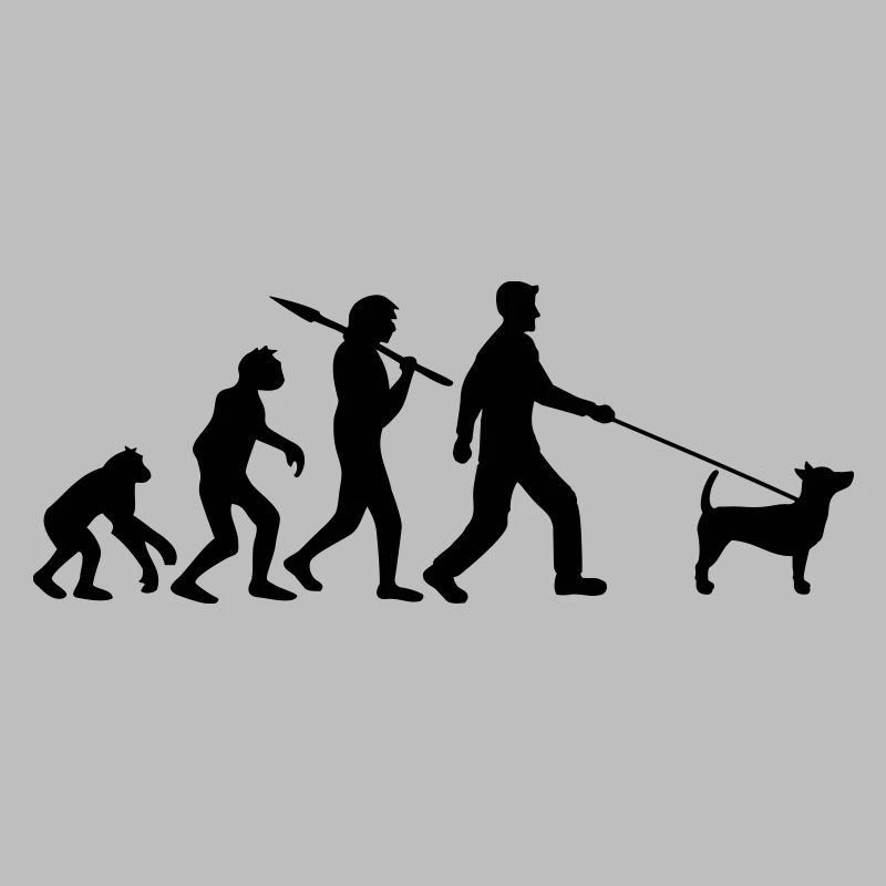 Evolution aller se promener chien âge de pierre développement C