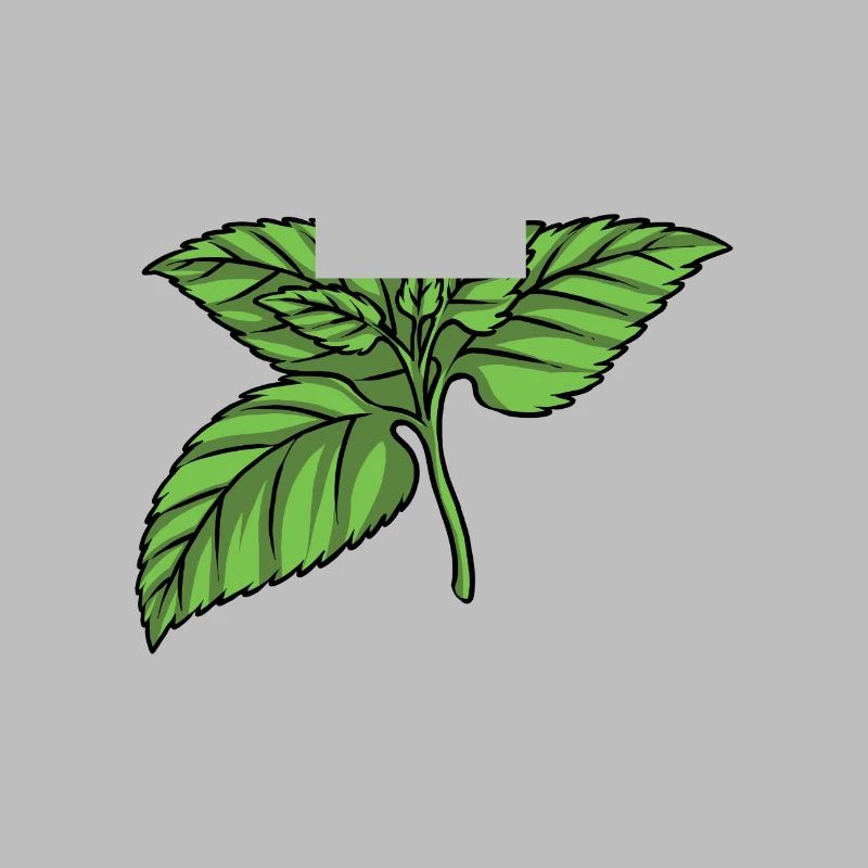 Mint Mint leaf
