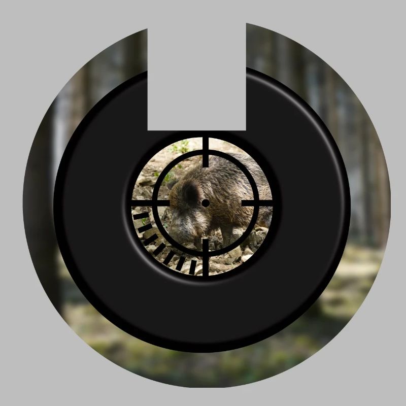 A boar through the scope