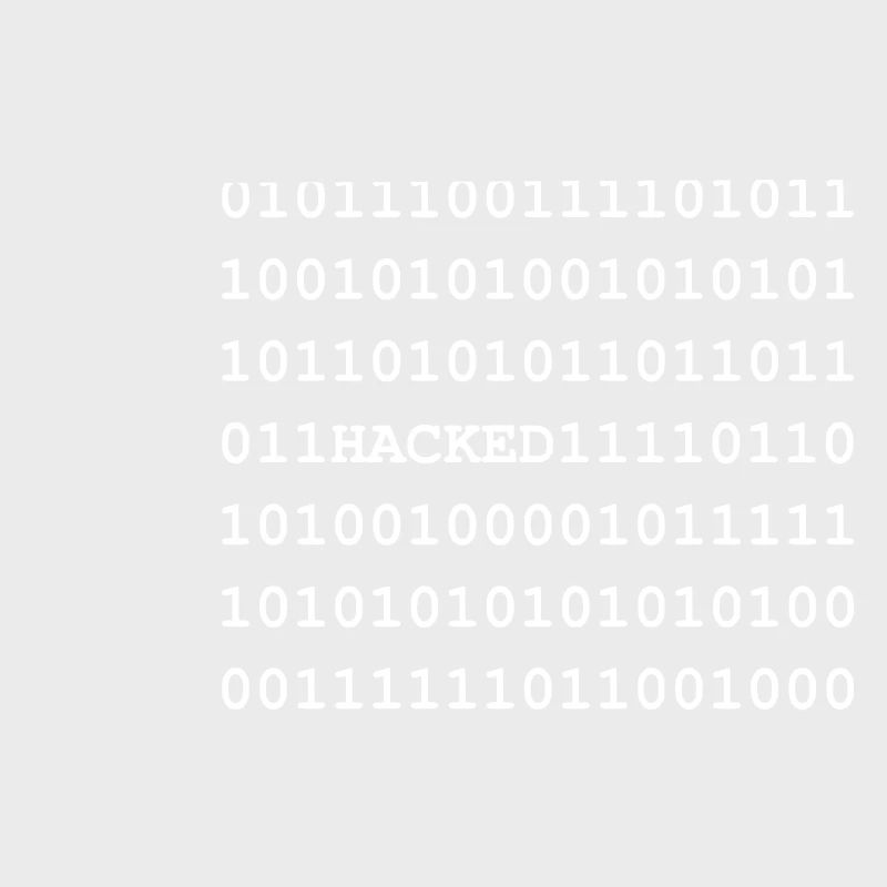 Hacked - Hacker - Nerd - Noob - Matrix
