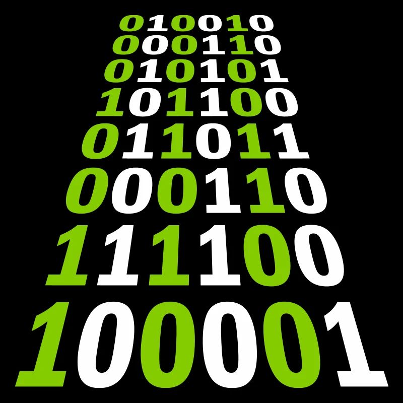 Langage de programme de code binaire