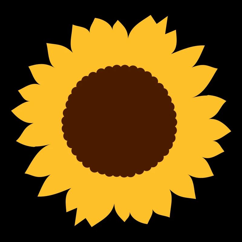 Sonnenblume