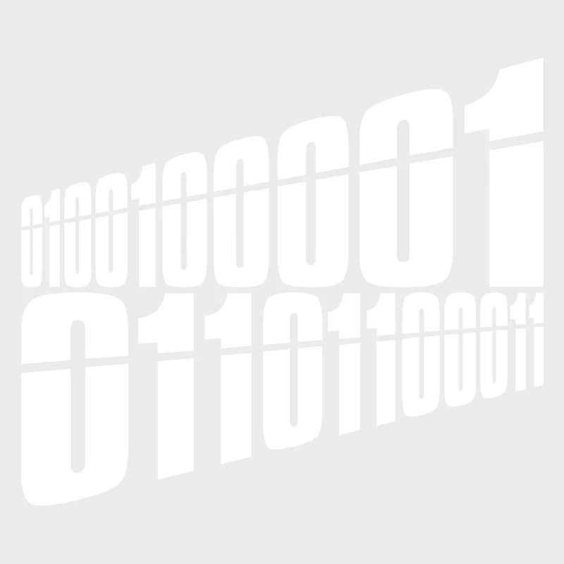 Binary Code Program Language