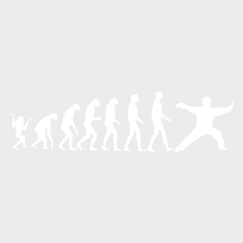 Taijiquan Chen Style Evolution