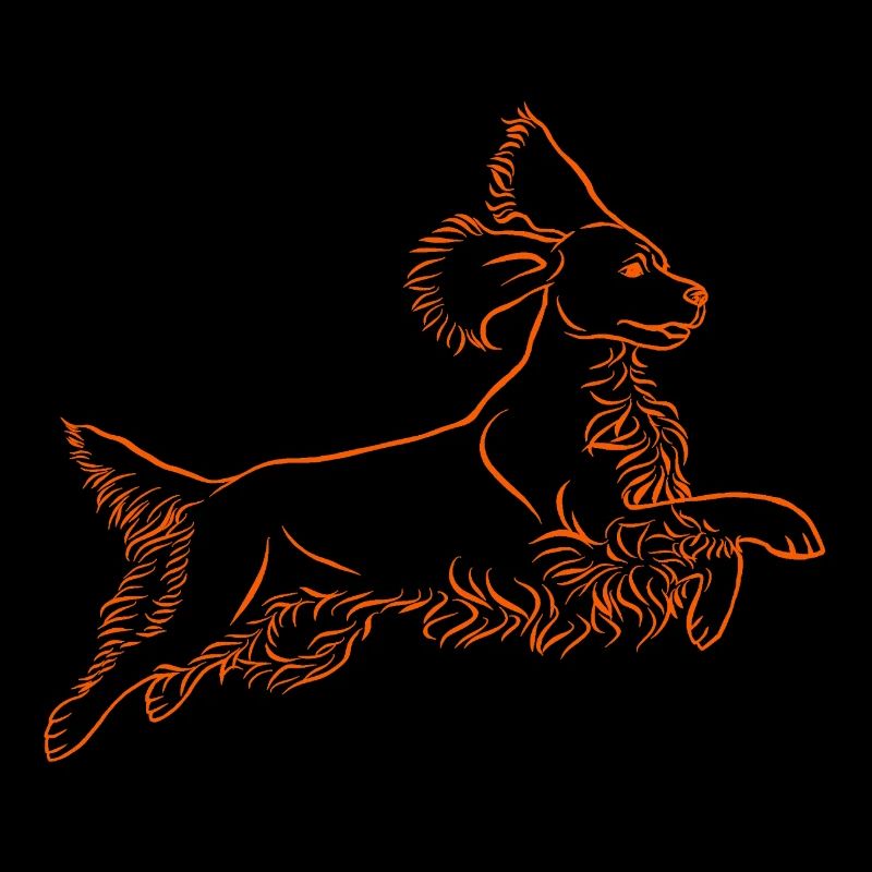 Springer Spaniel in orange