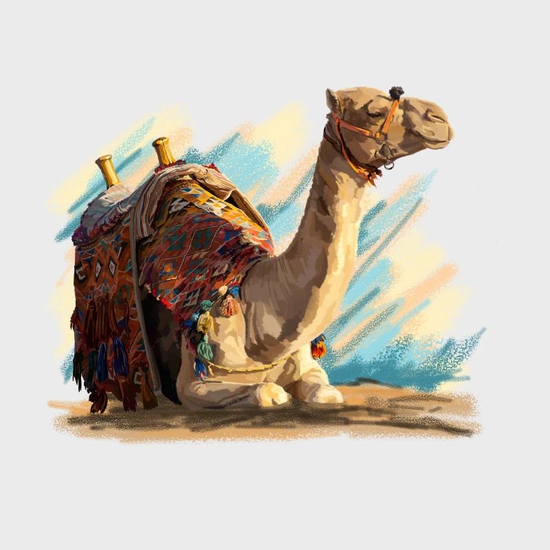 Camel