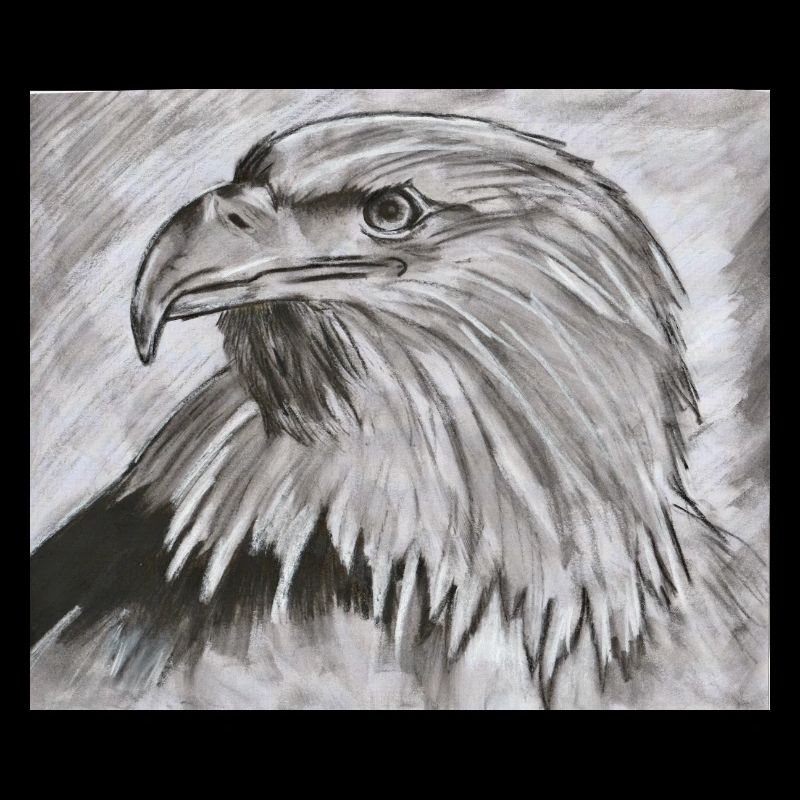 Roi des cieux – Illustration de tête d’aigle